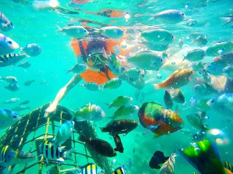 Diving in the crystal clear waters of Lombok